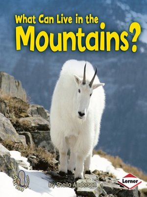 cover image of What Can Live in the Mountains?